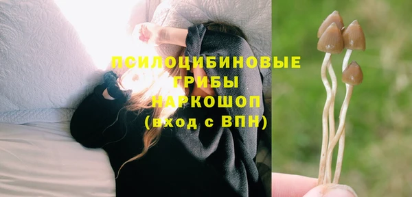 метадон Абаза
