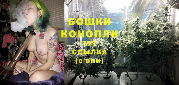 шишки Абдулино