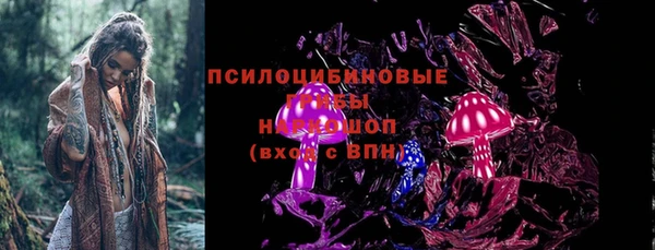 шишки Абдулино