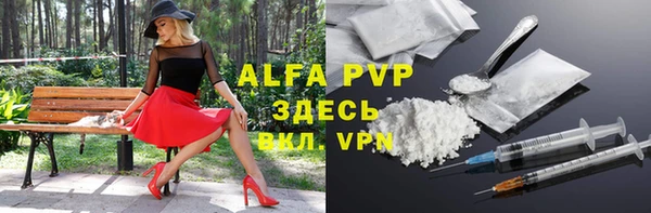 гашик Алексин