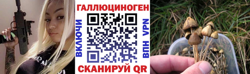 Галлюциногенные грибы Psilocybine cubensis  хочу   Благодарный 