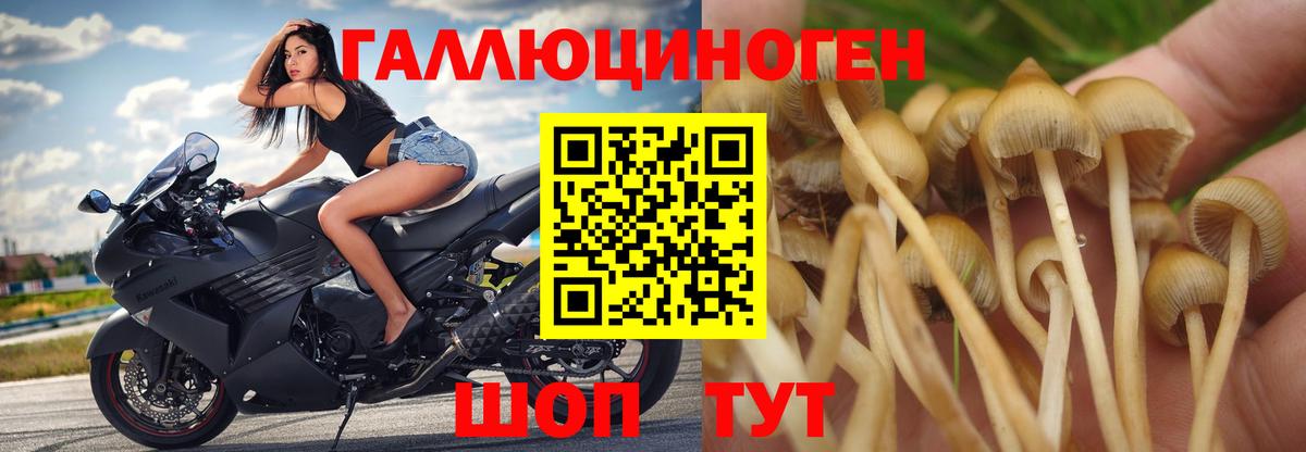 Псилоцибиновые грибы мухоморы Благодарный